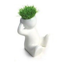 Piccole Teste d'Erba (8 pz.)