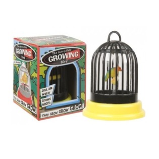 Uccellino Crescente in Gabbia (24 pz.)