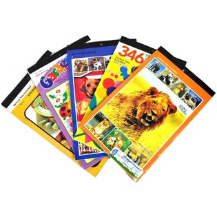 Stock Libri di Adesivi Assortiti (108 pz.)