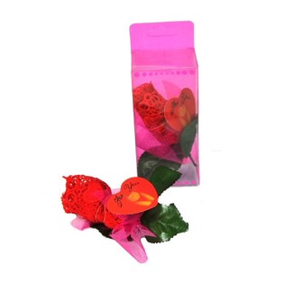Perizoma a Forma di Rosa