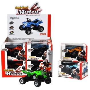 Quad in Display (12 pz.)