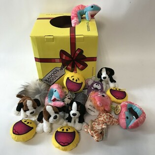 50 Peluche Assortiti in Scatola Regalo "Lucky Dip"